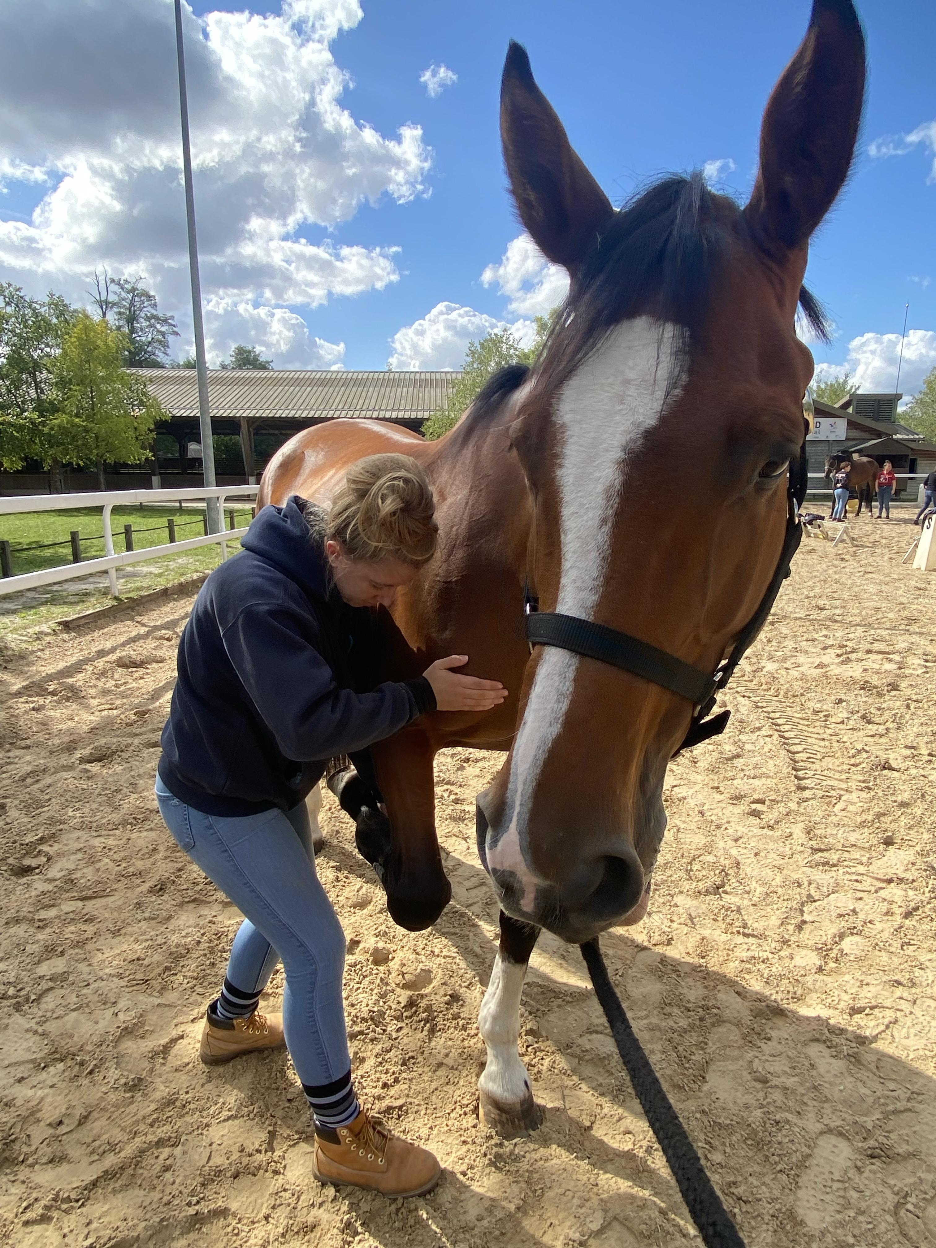 Coralane Daniel traitant un cheval