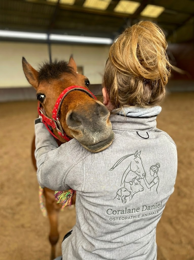 Coralane Daniel - Ostéopathie Animale