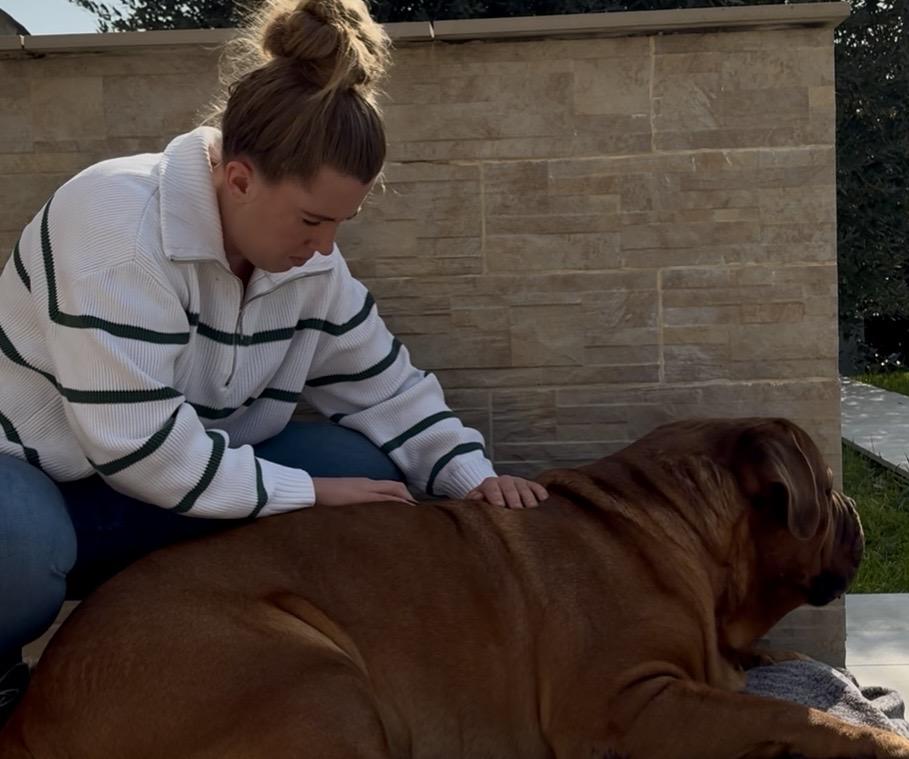 Ostéopathie et chien senior : accompagner son chien au fil des années